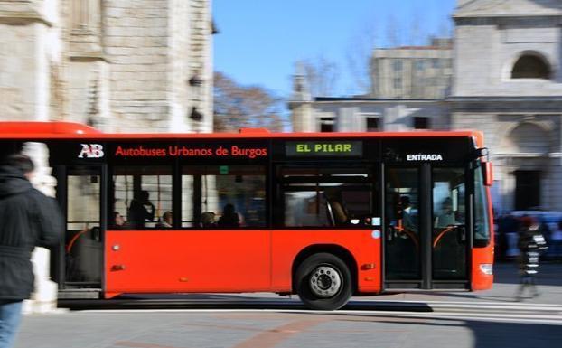 Los autobuses nocturnos quedan suspendidos/CLR