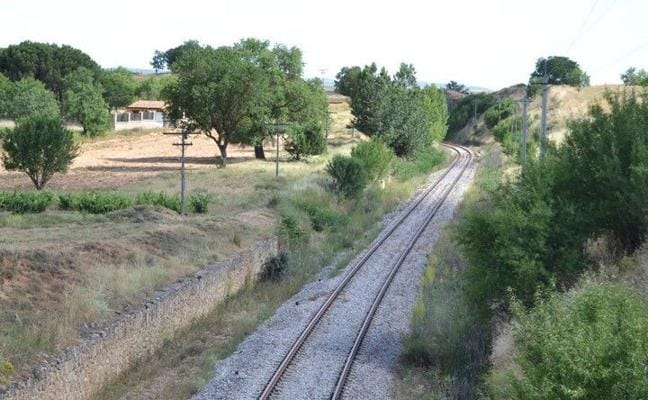 Fomento pide garantizar una alta demanda para reabrir el Tren Directo