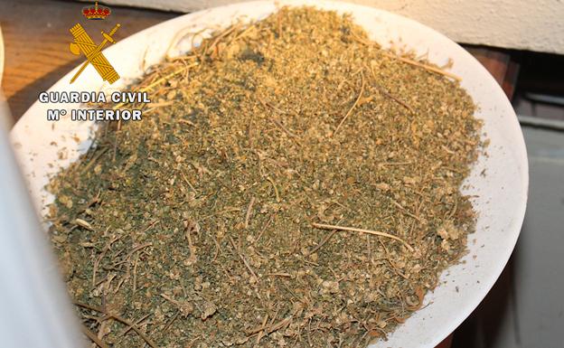 Marihuana triturada.