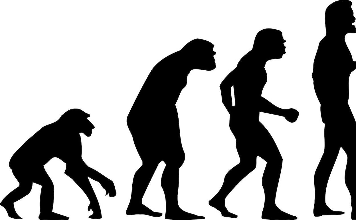 Demuestran científicamente una de las teorías de la evolución de Darwin |  BURGOSconecta
